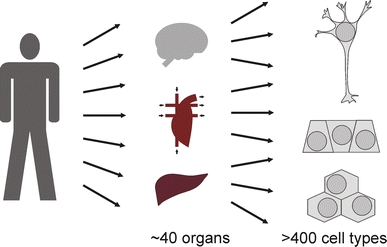 Fig. 9