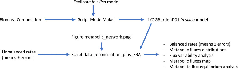 Fig. 10