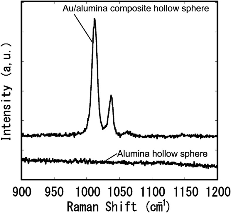 Fig. 10