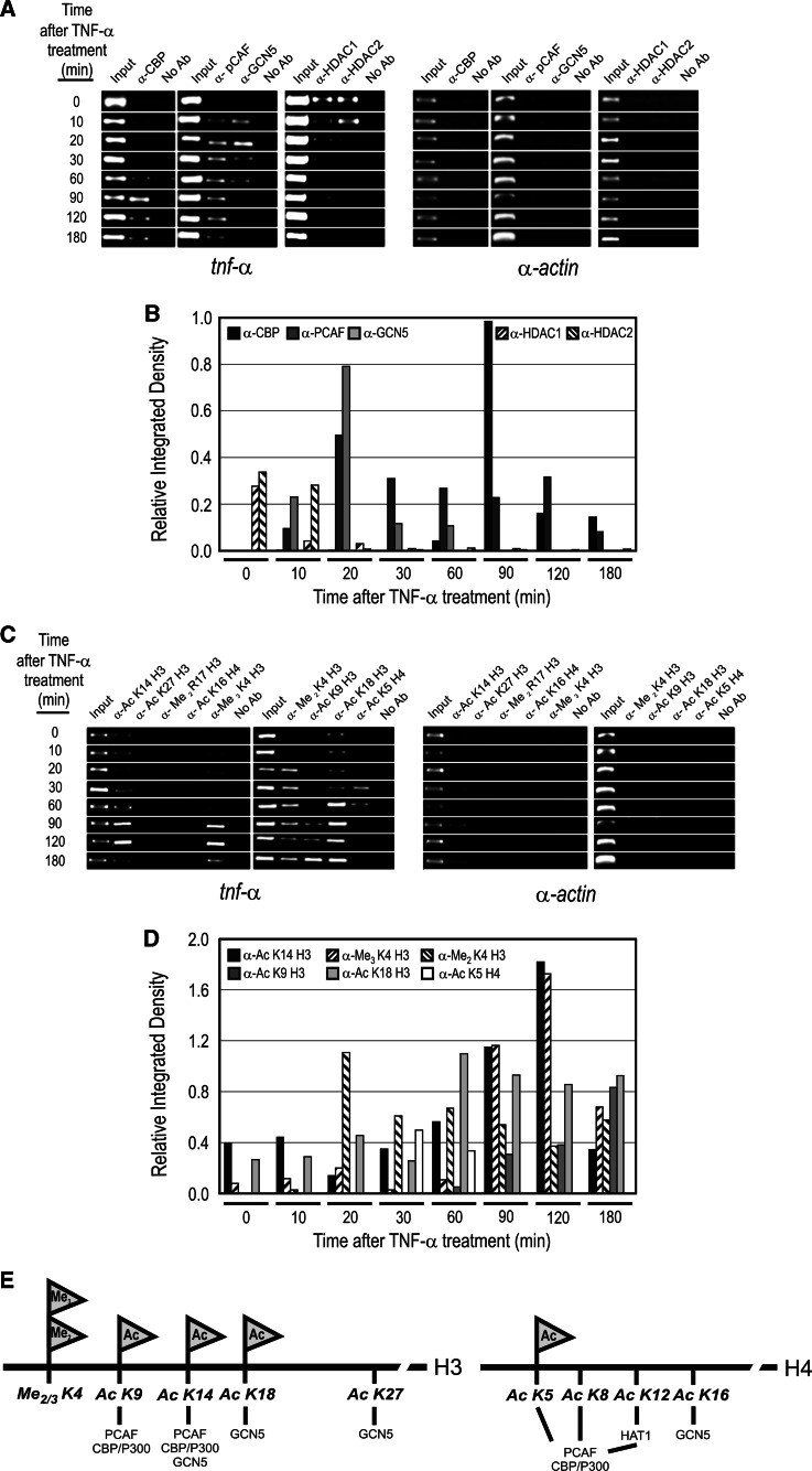 Fig. 6