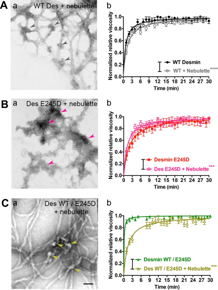 FIGURE 6: