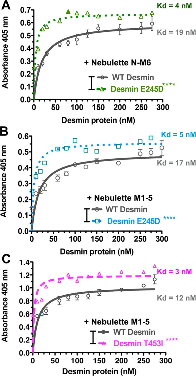 FIGURE 5: