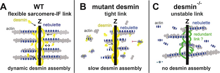 FIGURE 10: