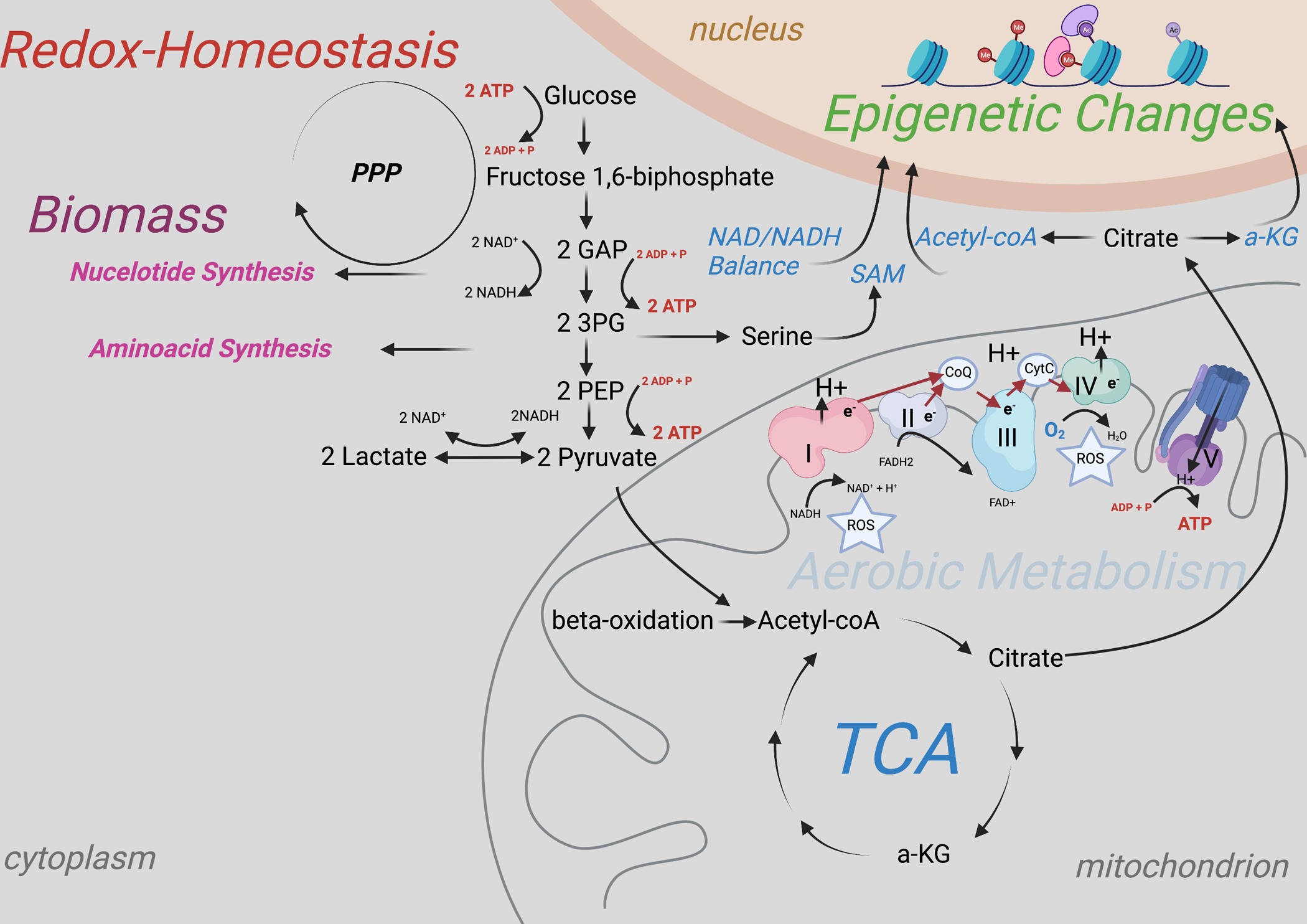 Figure 1: