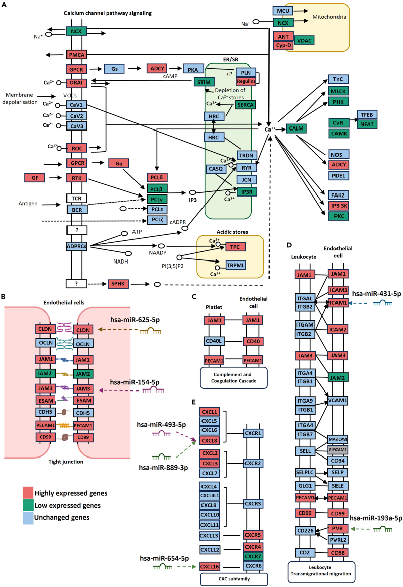 Figure 4