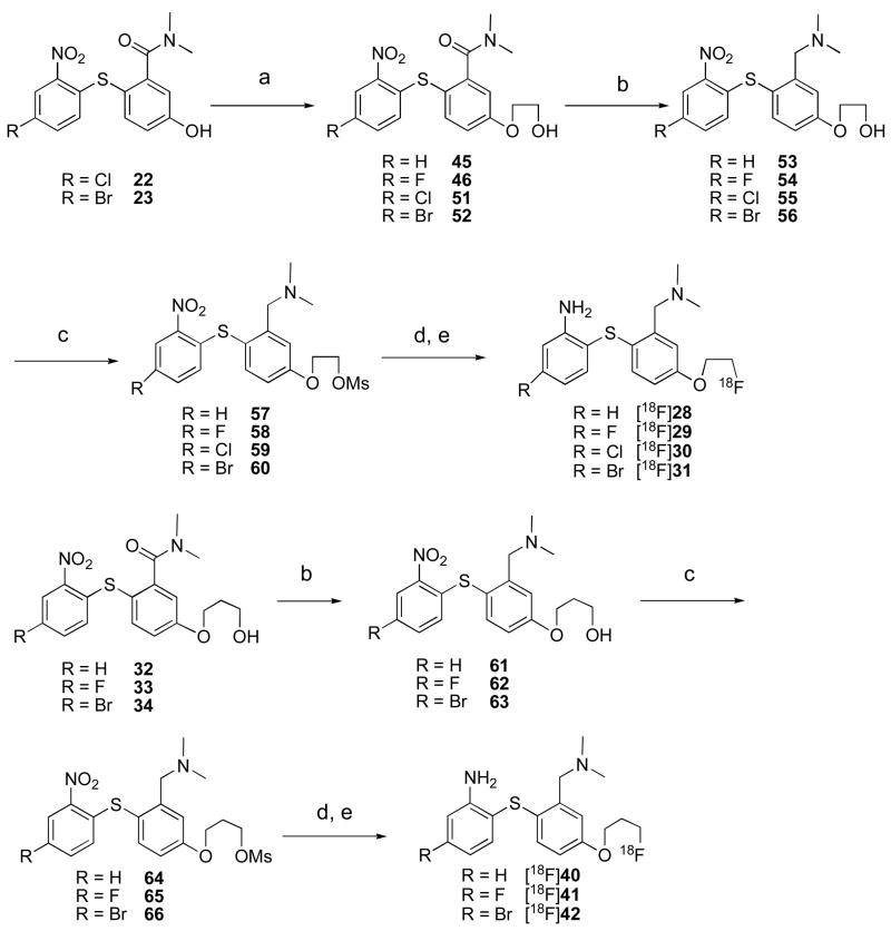 Scheme 4