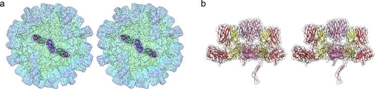 Fig 5