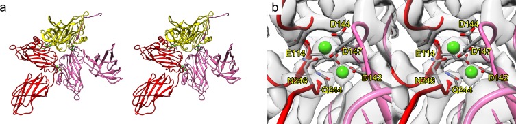 Fig 4