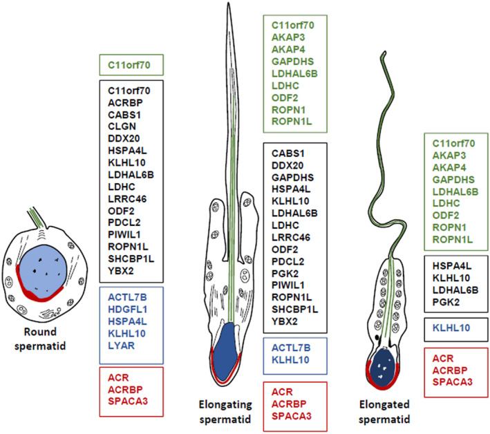 FIGURE 3