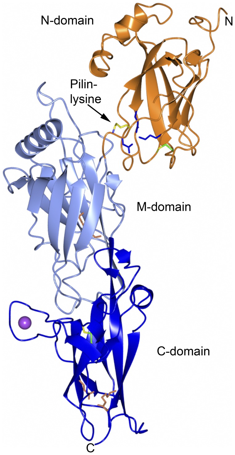 Figure 2