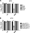 FIG 6