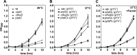 FIG 2