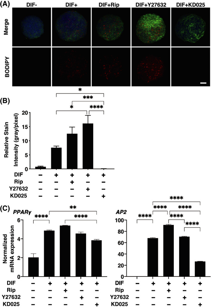 FIGURE 3