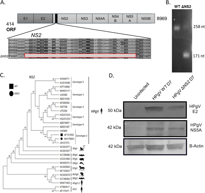 FIG 2