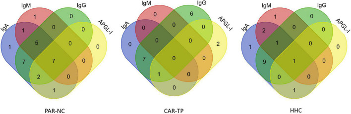 FIGURE 3