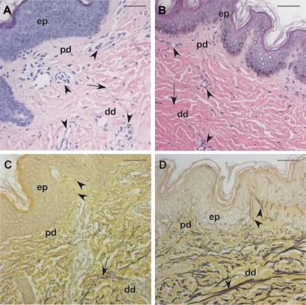 Figure  2