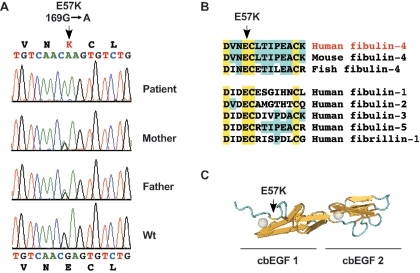 Figure  3