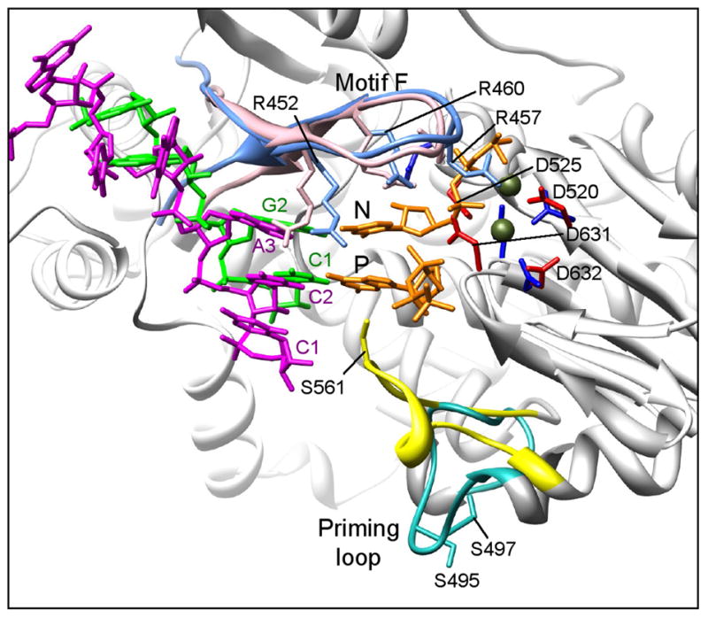 Figure 5