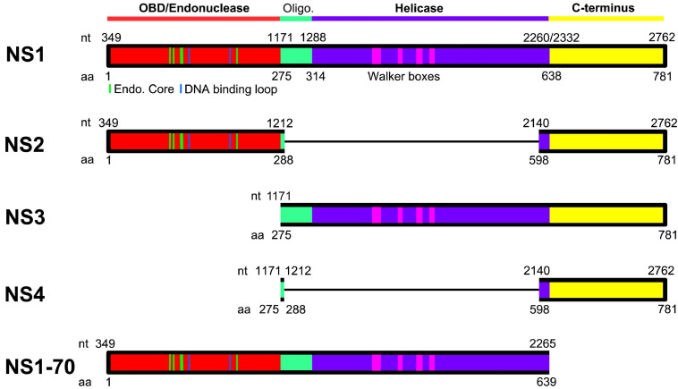 FIGURE 4