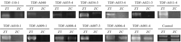 Figure 2-