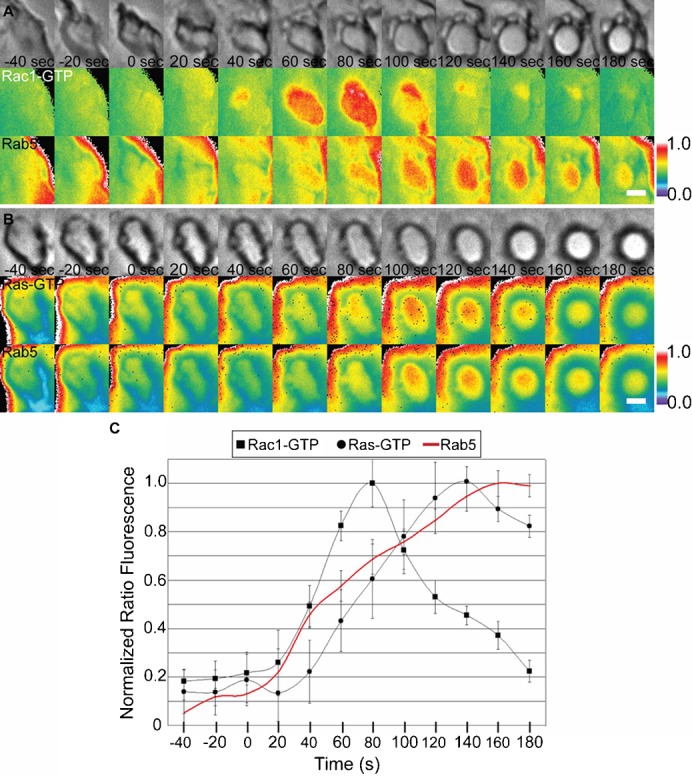 Fig. 4.