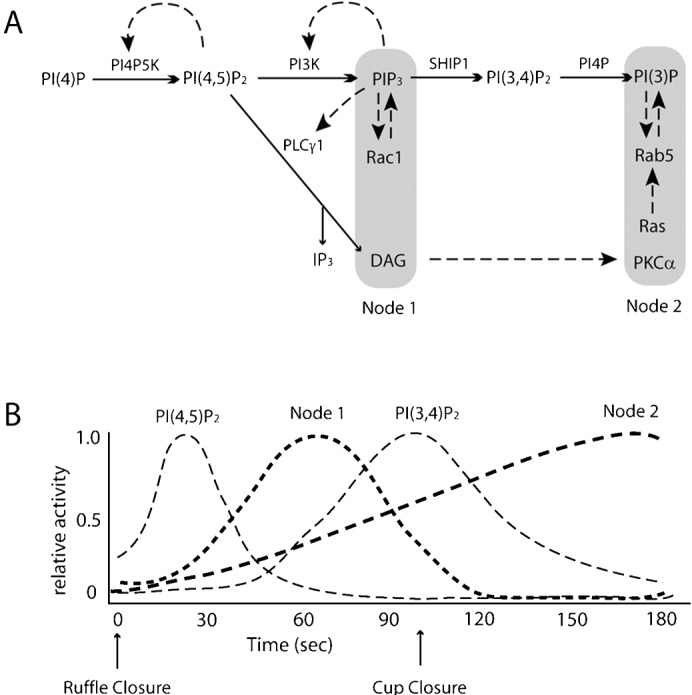 Fig. 5.