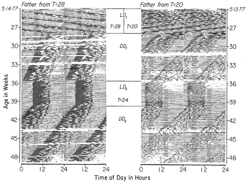 Fig. 5