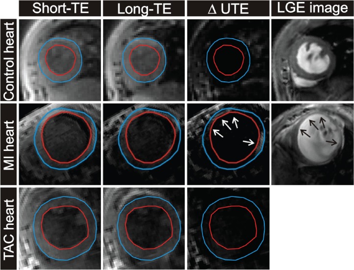 Fig 5