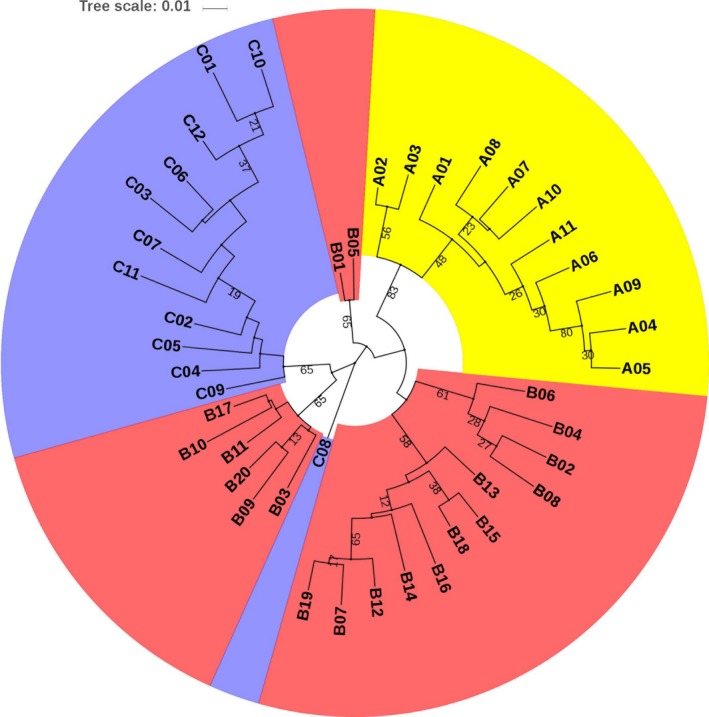 Figure 10