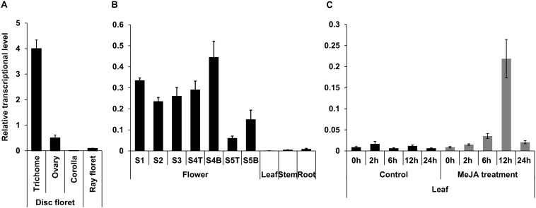 FIGURE 4