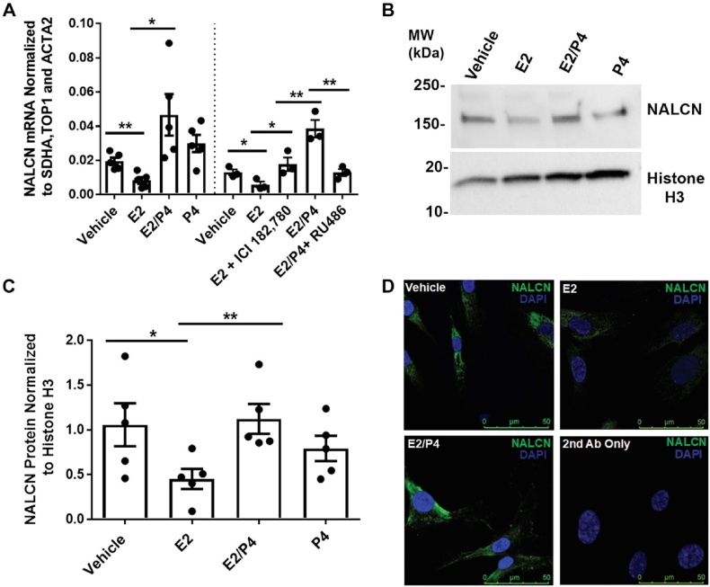 Fig. 14
