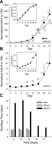 Fig. 8.