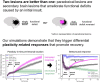 Graphical Abstract