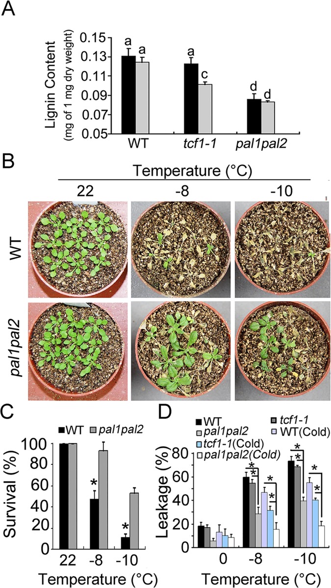 Fig 8