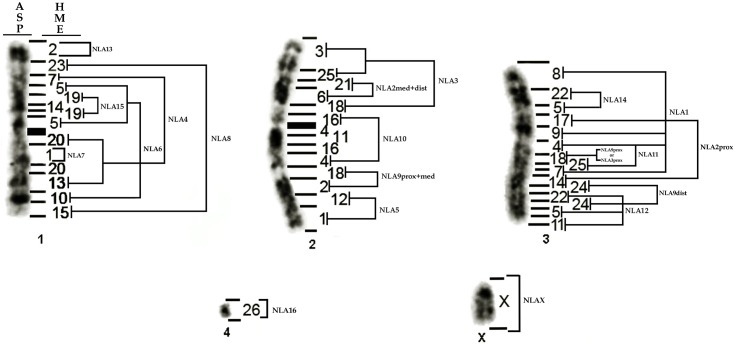 Fig 4