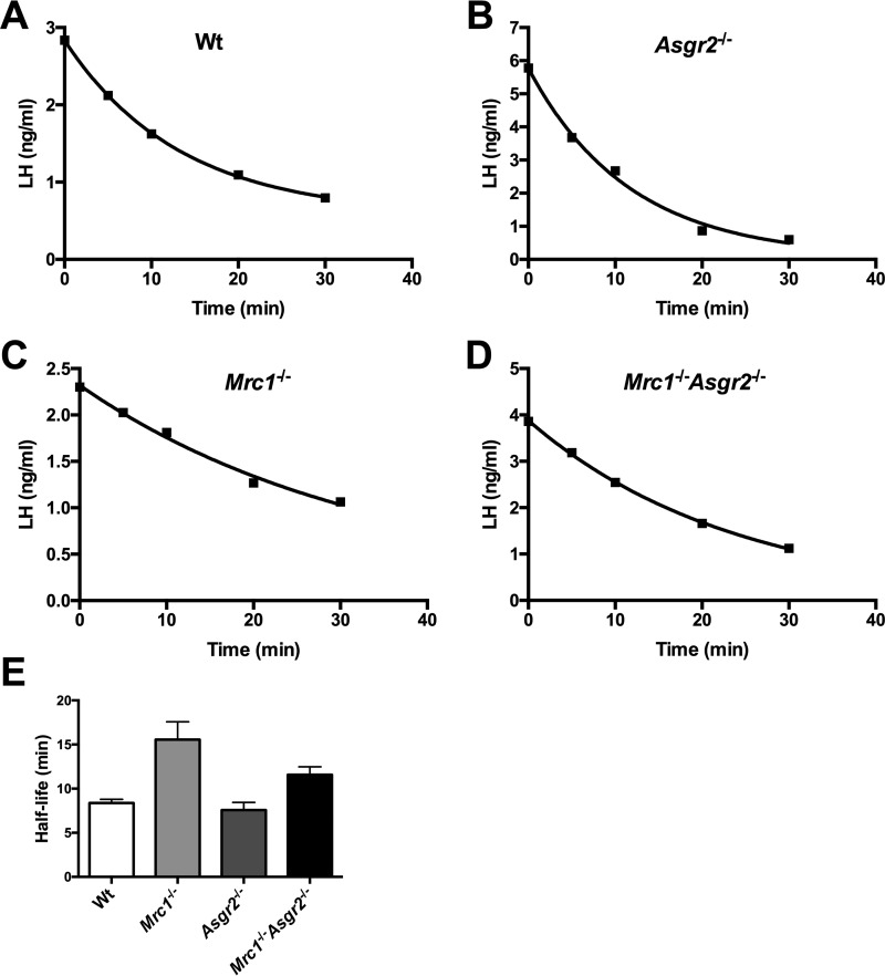 FIGURE 4.