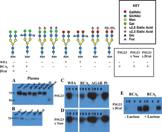 FIGURE 10.