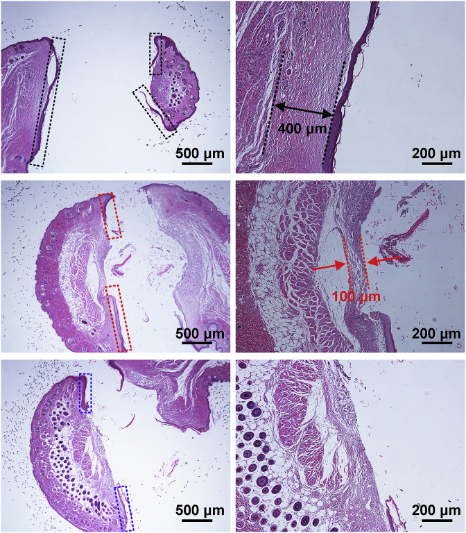 Fig. 9