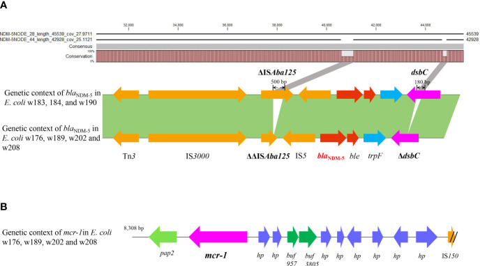 Figure 6