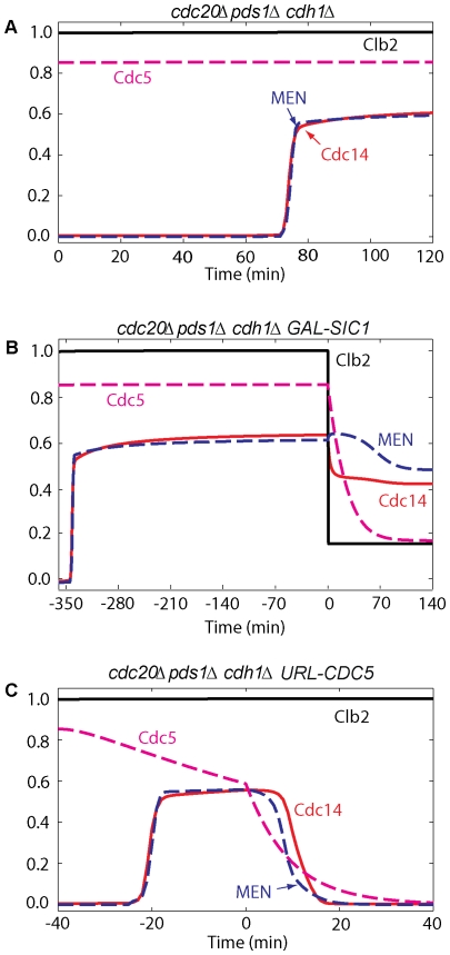 Figure 11