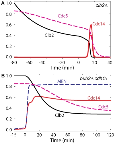 Figure 13