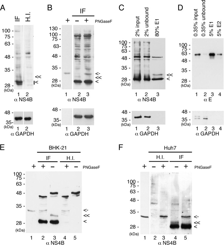 FIG 2