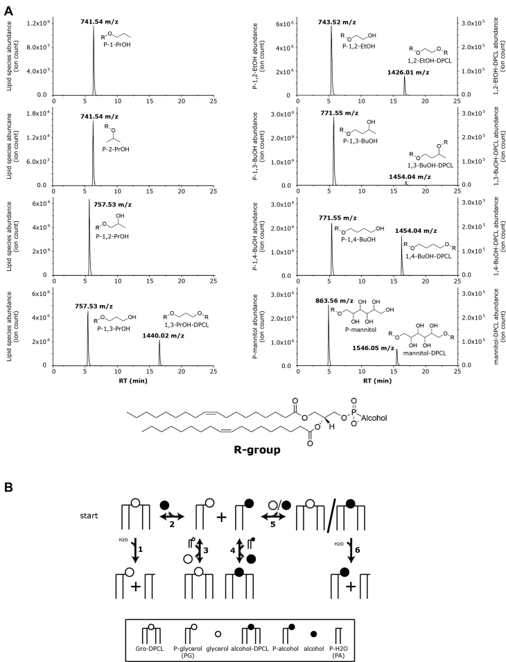 Figure 6