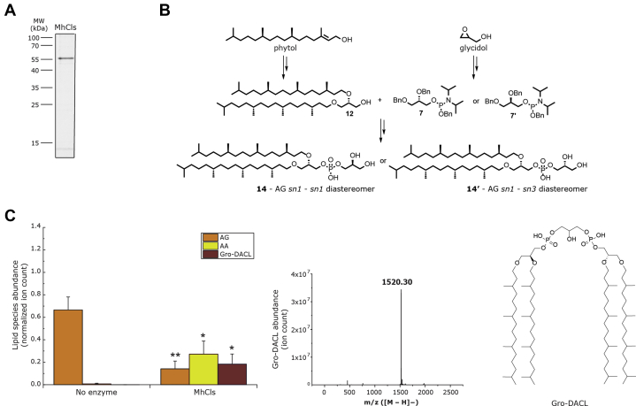 Figure 2