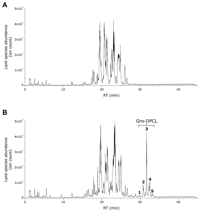 Figure 3