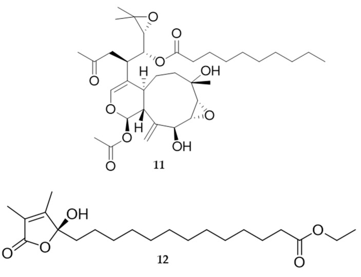 Figure 8