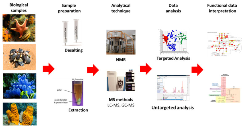 Figure 19