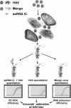 FIG. 3.