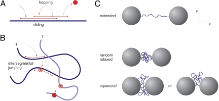 Fig. 1.