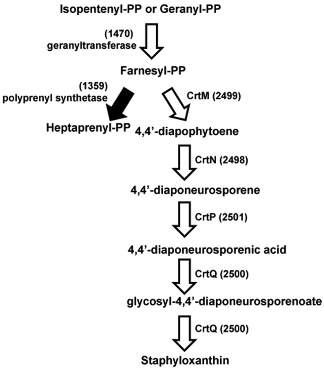 FIG 3 